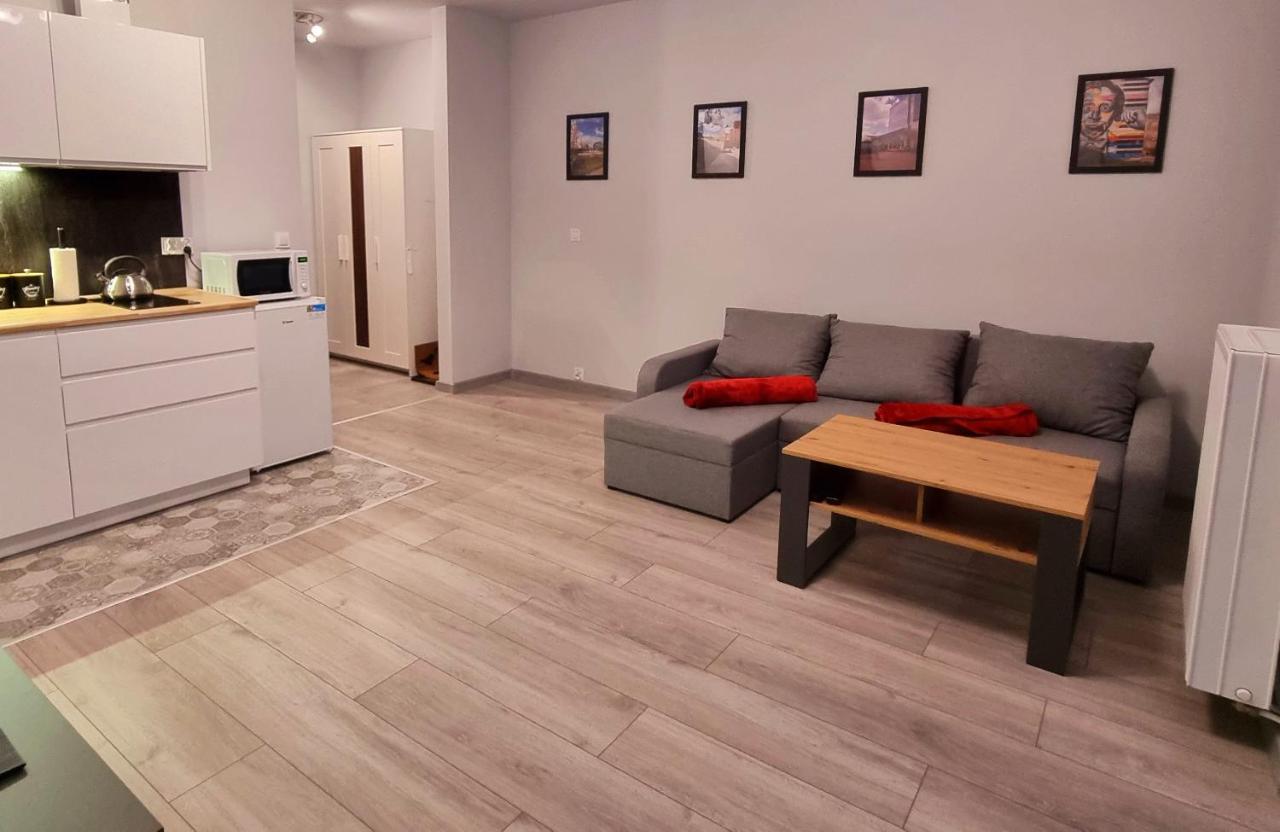 Apartament Kopernika 49 Łódź Exterior foto